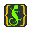 Midnight lizard icon