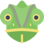 Chameleon WebExtension Icon