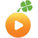 Lucky Orange Icon