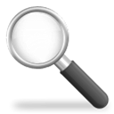 Inspection icon