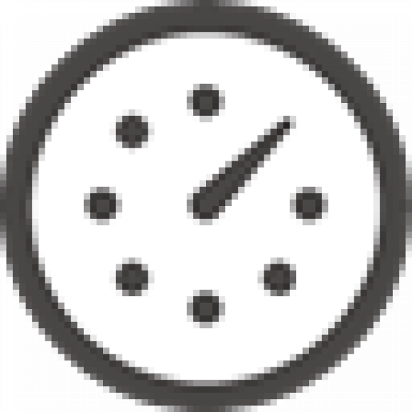 Everhour Icon