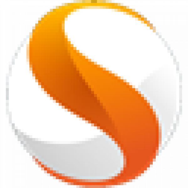 Silk browser icon