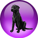 Black Lab NetOS Icon