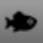 Tunefish icon 4