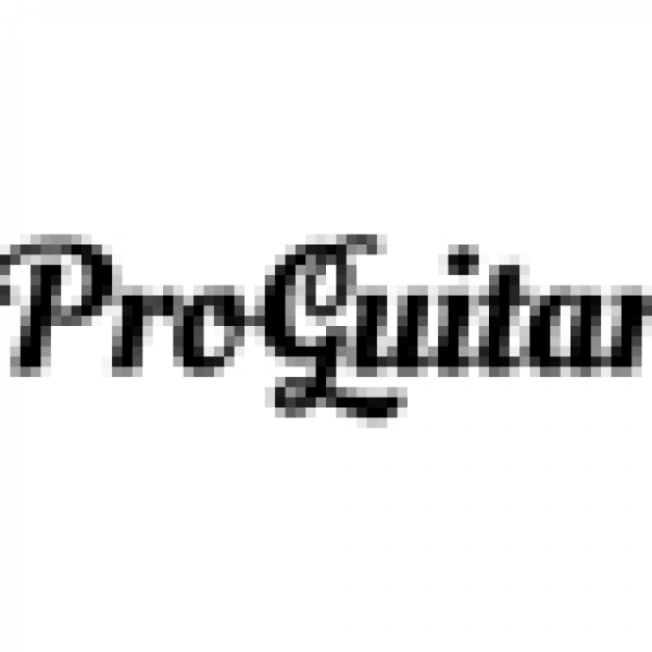 Professional guitar tuner icon