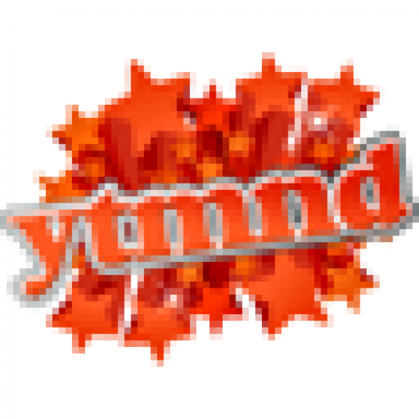 YTMND icon