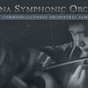 Sonatina Symphony Orchestra Module Icon