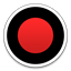 Bandicam screen recorder icon