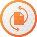 Paragon Backup and Recovery Icon