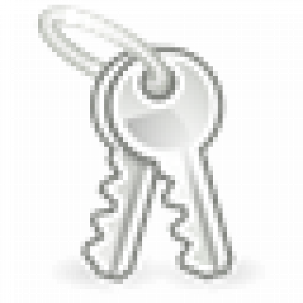 Encrypted Partition Mount Icon