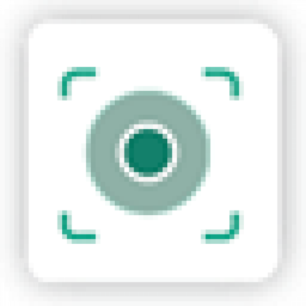 Salasil Desktop Icon