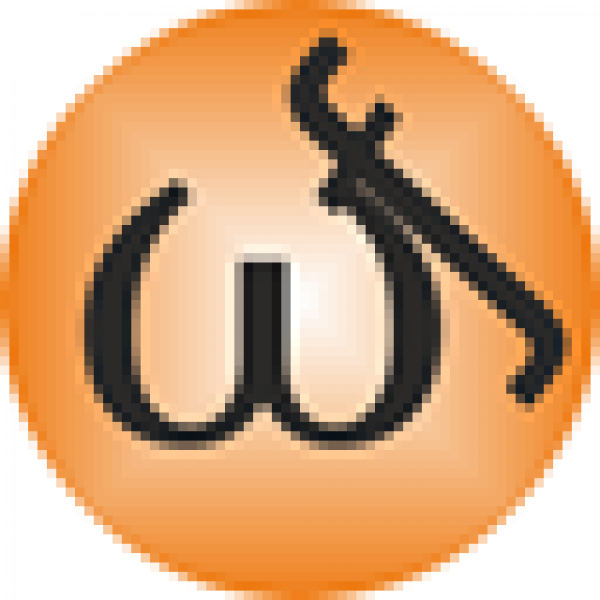 WFDownloader application icon