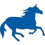 Pony icon