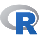 R icon (programming language)