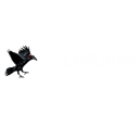 Sound raven icon