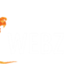 Webzilla Instant Files Icon