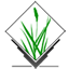 GRASS GIS icon