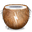 coconut icon