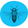 buzzcar icon