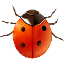 Coccinella icon