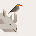 Rhinobird.tv icon