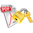 Ignissta PDF Lock Unlock Icon