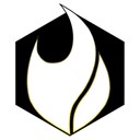 Fire icon