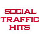 Social Traffic Hits Icon