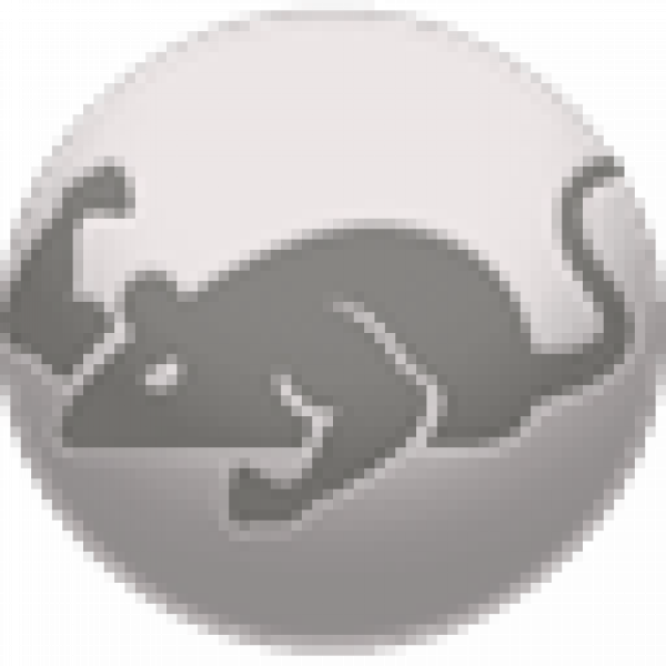 CatMouse Apk Icon