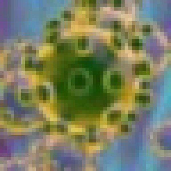 Coronavirus Tracking Icon