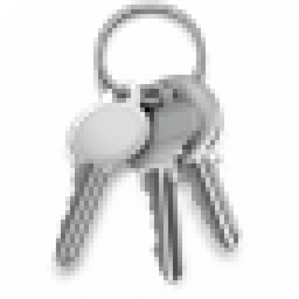 Keychain access icon