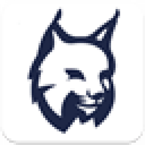 Lynx Privacy-Hide Photo / Video Icon