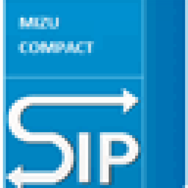 Mizutech VoIP server icon