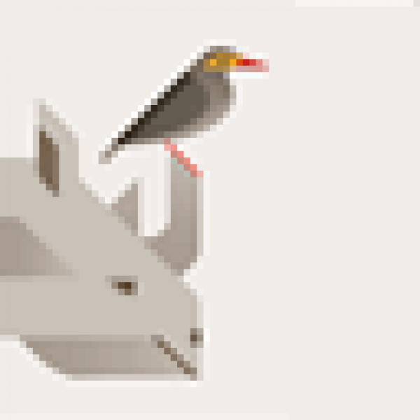 Rhinobird.tv icon