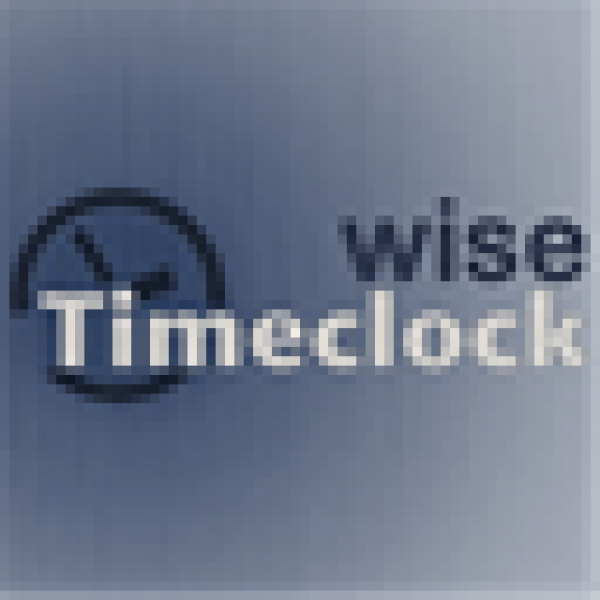 WiseTimeclock.com icon