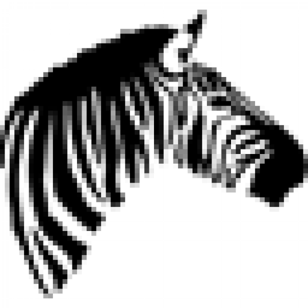 Zebra Classroom Icon