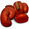 Boxer icon