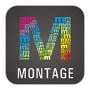 WidsMob mount icon