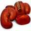 Boxer icon