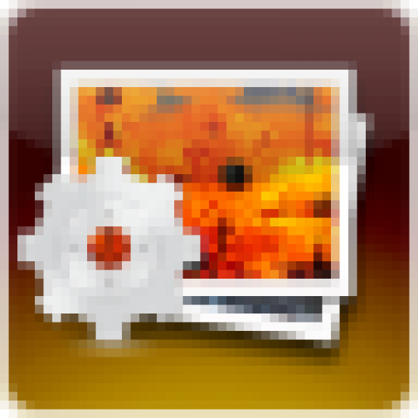 PDF Gallery Icon