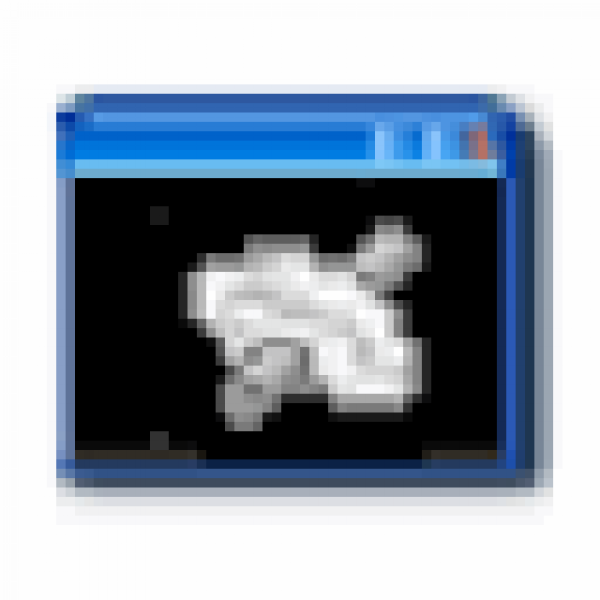 Bitvise SSH client icon