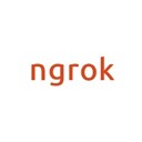 ngrok icon