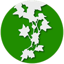 Ivy icon (sidebar, widgets, RSS)