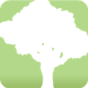 SpeedTree Icon