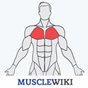 MuscleWiki Icon