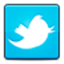 Twitter connection icon