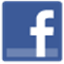 Facebook Connect Icon