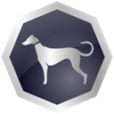 Greyhound video icon