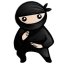 System Ninja icon