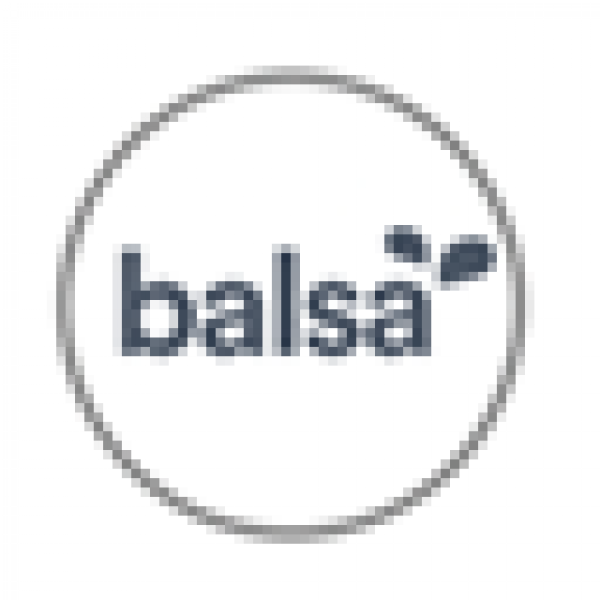 Balsa Knowledgebase Icon